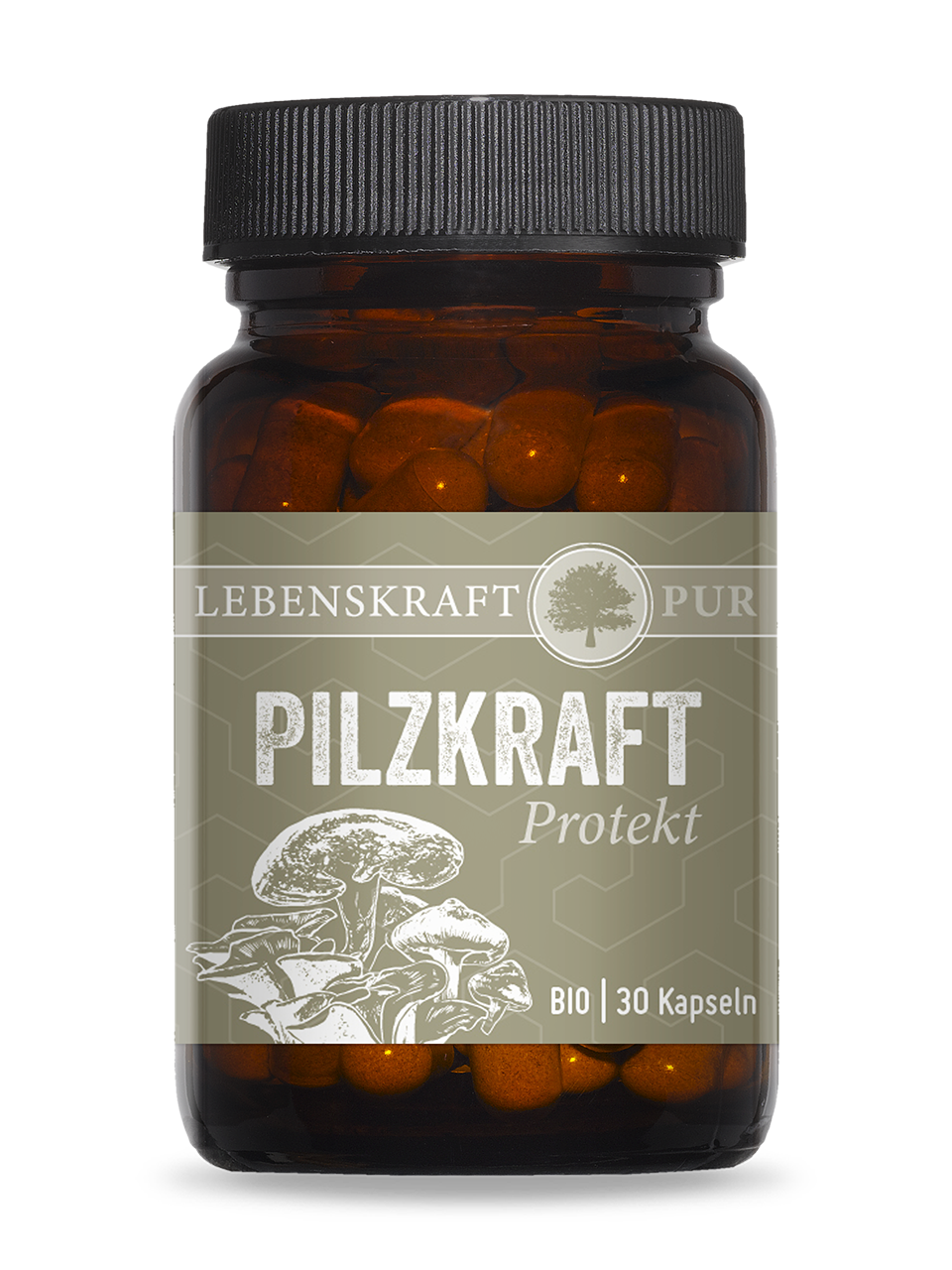 Bio Pilzkraft Protekt | Belebende Vitalpilzmischung – 100 % Bio-Qualität Bio Pilzkraft Protekt enthält eine sinnvolle Kombination der drei Vitalpilze Reishi, Maitake und Shiitake in 100 % Bio-Qualität. Die positiven Eigenschaften aller drei Vitalpilze sind in der Naturkunde unbestritten. Dabei weisen die in Bio Pilzkraft Protekt enthaltenen drei Vitalpilze ähnliche bzw. ineinander übergreifende Effekte auf, weshalb diese sich in ihrer Zusammensetzung perfekt ergänzen.