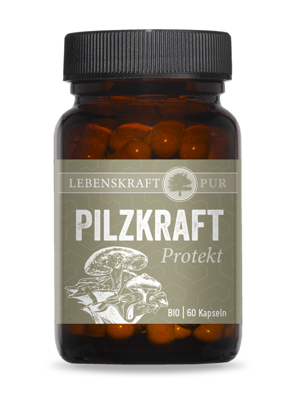 Bio Pilzkraft Protekt | Belebende Vitalpilzmischung – 100 % Bio-Qualität Bio Pilzkraft Protekt enthält eine sinnvolle Kombination der drei Vitalpilze Reishi, Maitake und Shiitake in 100 % Bio-Qualität. Die positiven Eigenschaften aller drei Vitalpilze sind in der Naturkunde unbestritten. Dabei weisen die in Bio Pilzkraft Protekt enthaltenen drei Vitalpilze ähnliche bzw. ineinander übergreifende Effekte auf, weshalb diese sich in ihrer Zusammensetzung perfekt ergänzen.