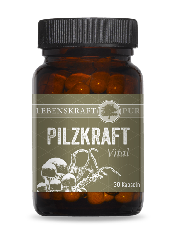 Pilzkraft Vital | Vitalpilzmischung hochreiner Extrakt Pilzkraft Vital enthält eine sinnvolle Kombination der beiden Vitalpilze Agaricus Blazei und Cordyceps sinensis. Die positiven Eigenschaften dieser beiden Vitalpilze sind in der Naturkunde unbestritten. Dabei weisen die in Pilzkraft Vital enthaltenen drei Vitalpilze ähnliche bzw. ineinander übergreifende Effekte auf, weshalb diese sich in ihrer Zusammensetzung perfekt ergänzen.