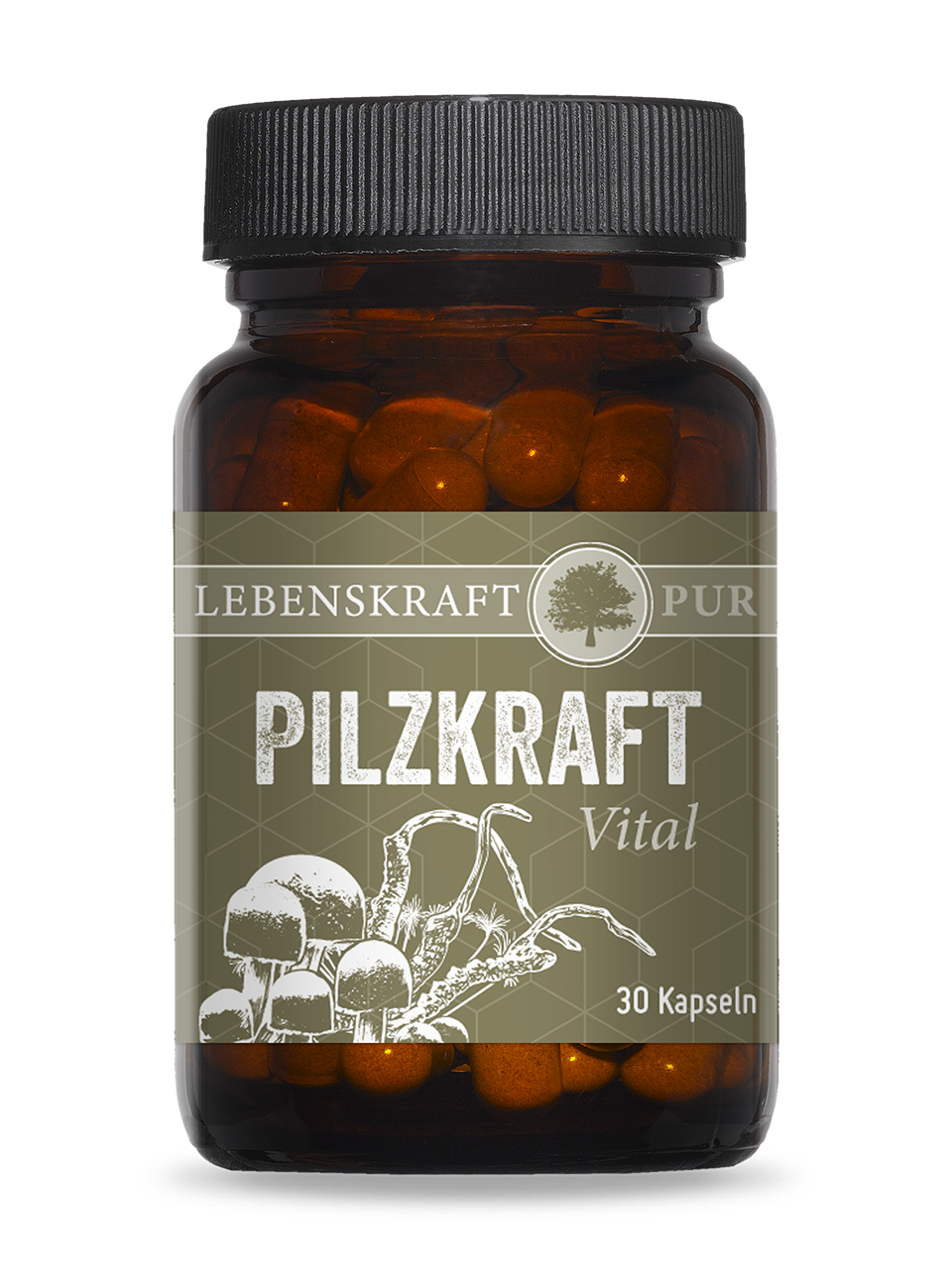 Pilzkraft Vital | Vitalpilzmischung hochreiner Extrakt Pilzkraft Vital enthält eine sinnvolle Kombination der beiden Vitalpilze Agaricus Blazei und Cordyceps sinensis. Die positiven Eigenschaften dieser beiden Vitalpilze sind in der Naturkunde unbestritten. Dabei weisen die in Pilzkraft Vital enthaltenen drei Vitalpilze ähnliche bzw. ineinander übergreifende Effekte auf, weshalb diese sich in ihrer Zusammensetzung perfekt ergänzen.