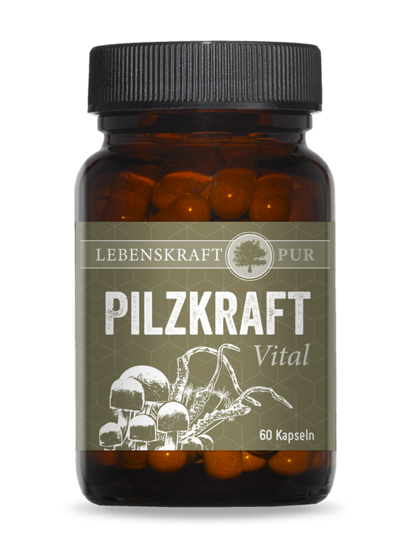 Pilzkraft Vital | Vitalpilzmischung hochreiner Extrakt Pilzkraft Vital enthält eine sinnvolle Kombination der beiden Vitalpilze Agaricus Blazei und Cordyceps sinensis. Die positiven Eigenschaften dieser beiden Vitalpilze sind in der Naturkunde unbestritten. Dabei weisen die in Pilzkraft Vital enthaltenen drei Vitalpilze ähnliche bzw. ineinander übergreifende Effekte auf, weshalb diese sich in ihrer Zusammensetzung perfekt ergänzen.