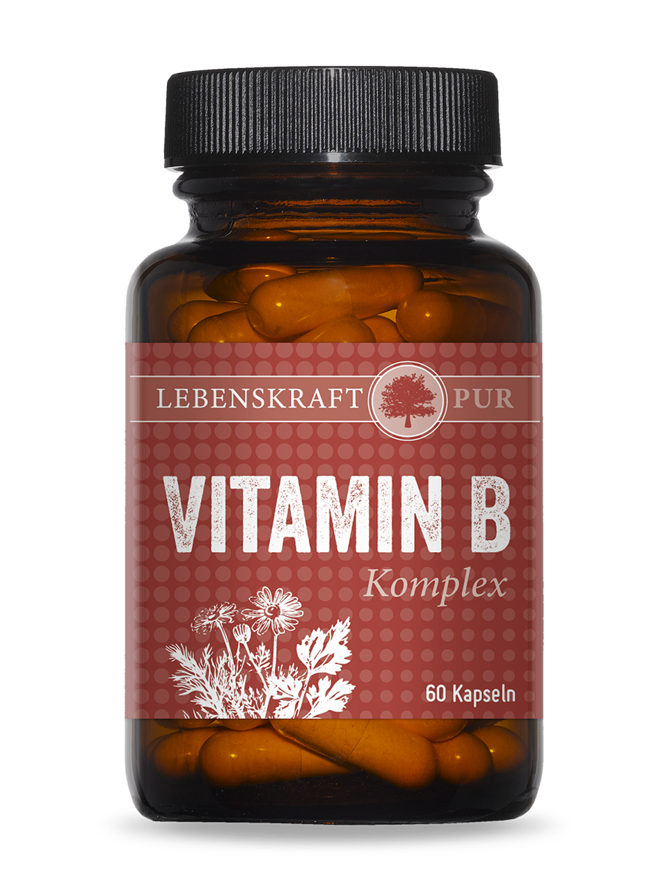Vitamin B Komplex | Deckt Ihren kompletten Vitamin-B-komplett mit nur 1 Kapsel Der Vitamin B Komplex ist ein vollständiger B-Komplex, bestehend aus einer durchdachten Zusammenstellung von aktiven und proaktiven B-Vitaminen. Vitamine sind organische Verbindungen, die Ihr Körper zum Leben braucht, aber nicht selbst herstellen kann. Sie müssen sie täglich mit der Nahrung zuführen. Einige Vitamine führen Sie als Vorstufe (Provitamin) zu. In Ihrem Körper werden sie dann zur „aktiven“ Form umgebaut, dass ist die Form, die Ihr Körper zum Arbeiten benötigt.