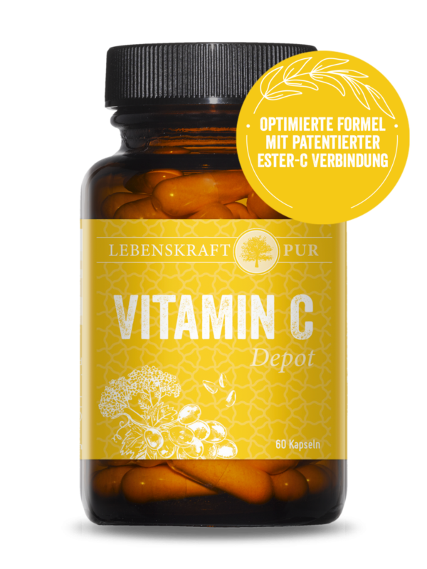 Vitamin C Depot | Hohe antioxidative Eigenschaft patentierten Ester C Verbindung Vitamin C Depot ist eine besonders magenfreundliche, säurefreie Vitamin-C-Kombination. Sie liefert 500 mg Vitamin C pro Kapsel in der patentierten Ester-C®-Verbindung. Diese sorgt für eine bessere Aufnahme von Vitamin C und erhöht somit dessen Bioverfügbarkeit. Außerdem bleibt Vitamin C in dieser Kombination länger in den Zellen aktiv.