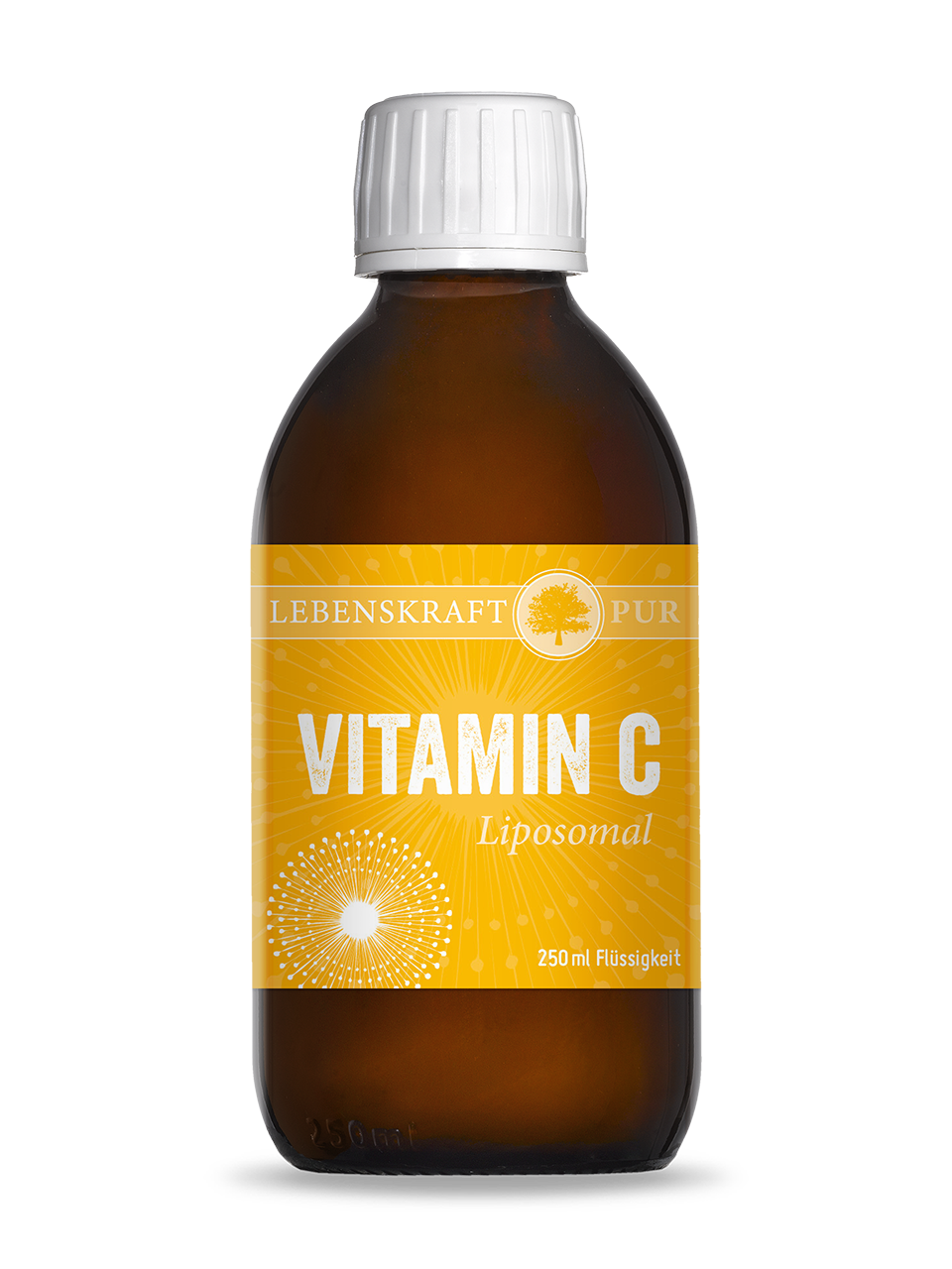 Vitamin C Liposomal | Höchste Bioverfügbarkeit durch liposomale Formulierung 1000 mg Vitamin C pro Einnahme Vitamin C Liposomal enthält hoch bioverfügbares Vitamin C in liposomaler Form. Zur Unterstützung und zum Ausgleich bei Mehrbedarf und Mangelzuständen. Liposomal – Sinn und Nutzen Liposomale Zubereitungen haben gegenüber herkömmlichen oralen Präparaten wie Tabletten oder Kapseln einige Vorteile. Liposomen sind kleine Fettkügelchen, welche die aufzunehmenden Substanzen umschließen und sicher durch die Magenpassage bringen.