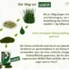 Grüne Lichtkraft – Bild 3