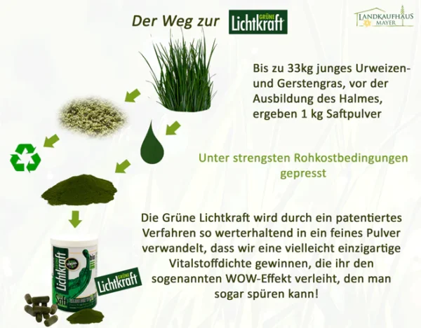 Grüne Lichtkraft | Grüne Lichtkraft Bio Grassaftpulver 100 % rein ohne jegliche Zusätze in Rohkostqualität in 450g Dose und 6er Sparpack erhältlich Rohkostqualität: Schonend getrocknet, um alle wichtigen Vitalstoffe zu erhalten Glutenfrei: Ideal für Menschen mit Glutenunverträglichkeit oder Zöliakie 100 % rein: Ohne jegliche Zusätze, für ein natürliches und unverfälschtes Produkt Empfohlen von Experten: Die GRÜNE LICHTKRAFT wird als bestes Grassaftpulver von Maria Kageaki gelobt